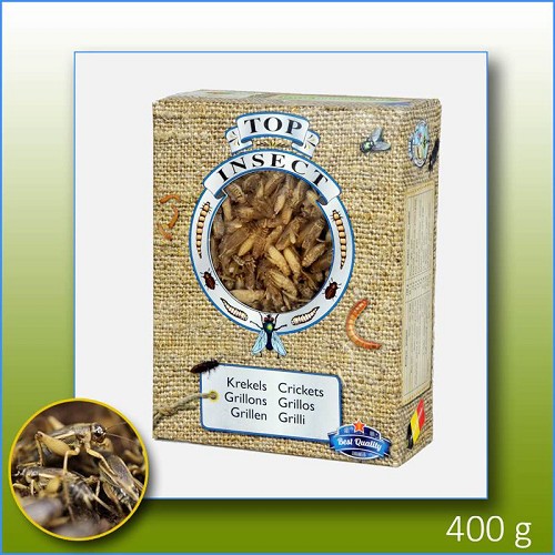 Diepvries krekels 1000 ml